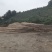 湖南香杉木精品木材产地货源无中间商保质保量全国发货