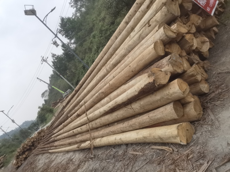 湖南香杉木精品木材产地货源无中间商保质保量全国发货