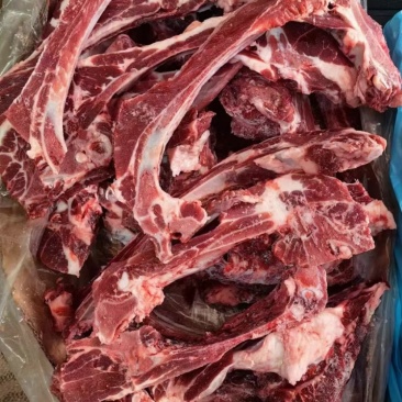 肋排条厂家直销量大从优