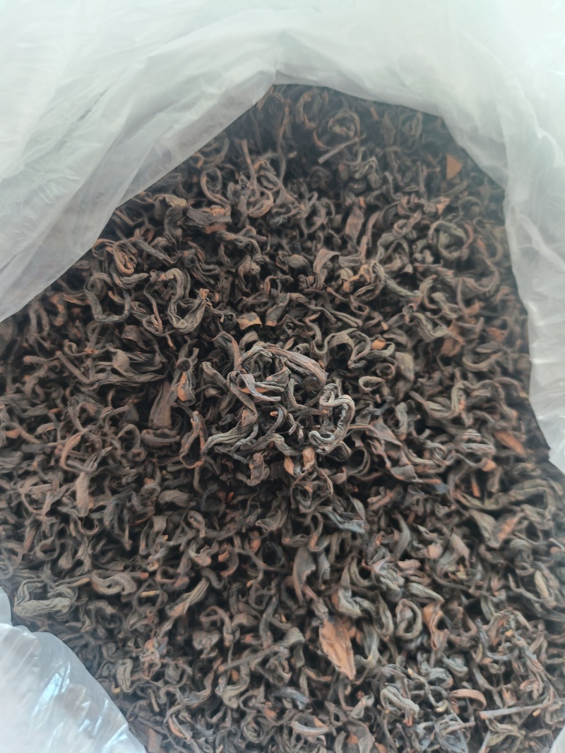 青岛崂山绿茶