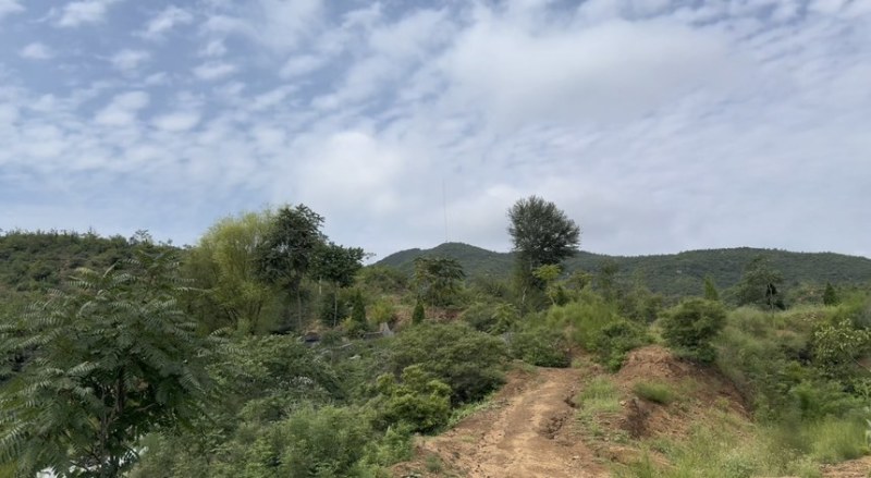出租流转荒山石料低价出
