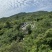 出租流转荒山石料低价出