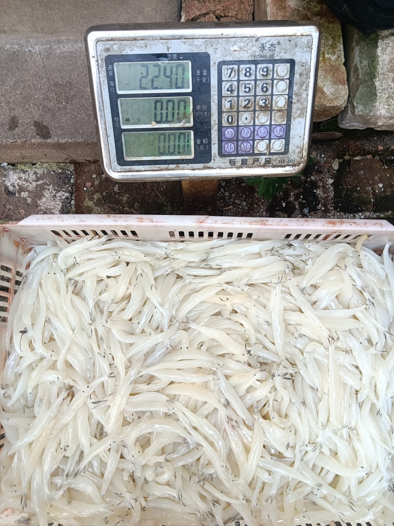 9月28号实测