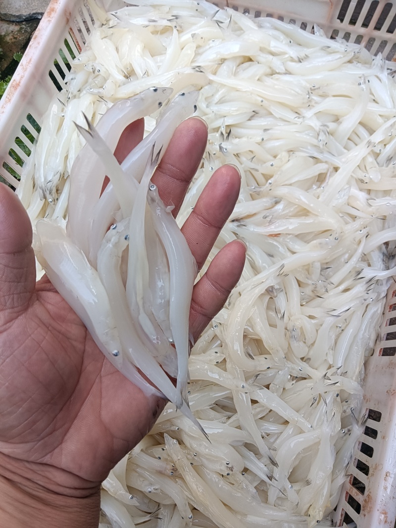 9月28号实测