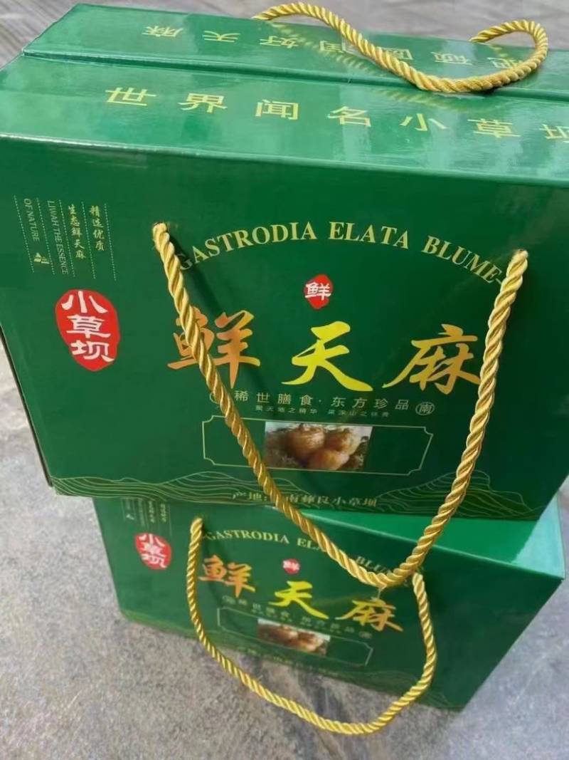 正宗小草坝天麻