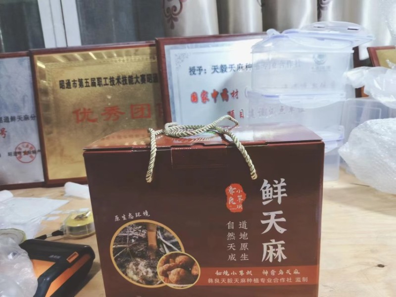 正宗小草坝天麻