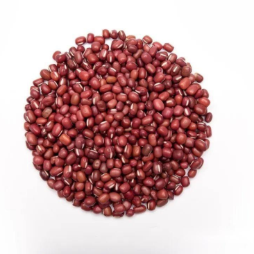 红小豆出售