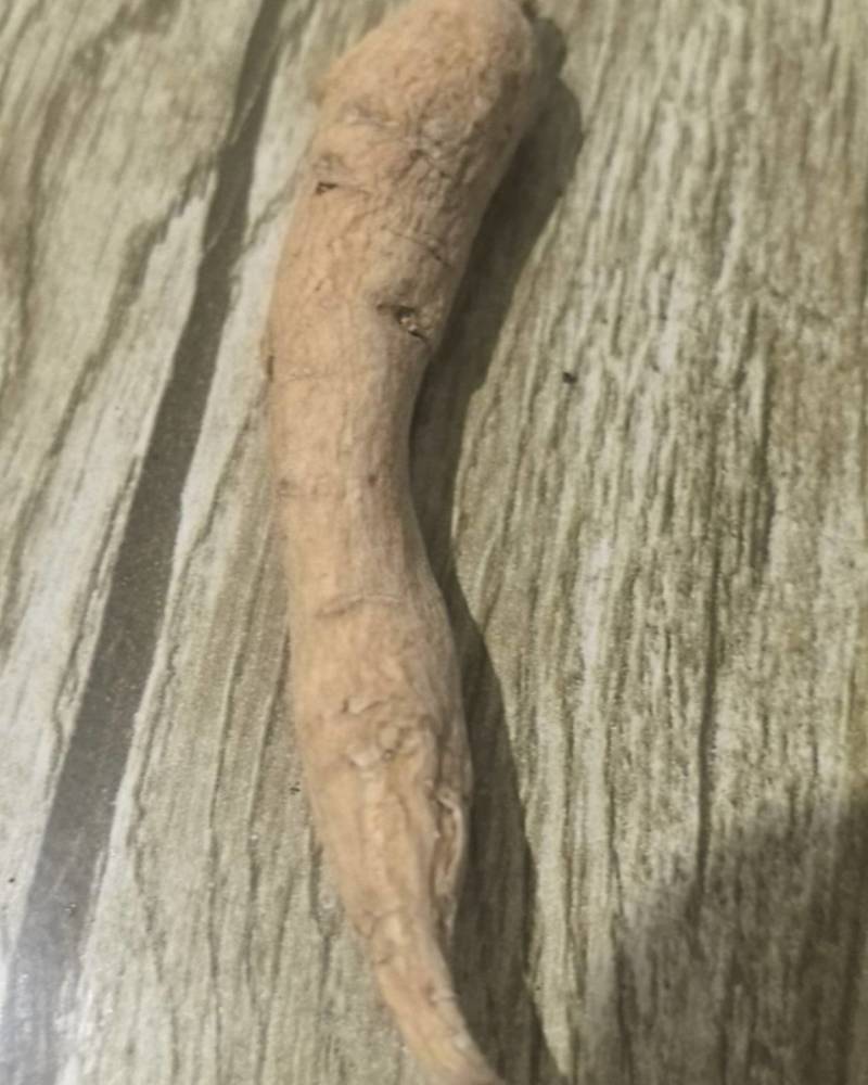 人参