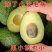【国货之光正宗哈斯】云南国产牛油果哈斯牛油果新鲜水果高山种植
