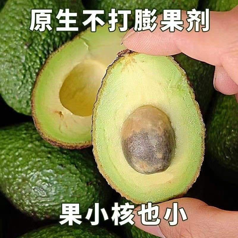 【国货之光正宗哈斯】云南国产牛油果哈斯牛油果新鲜水果高山种植