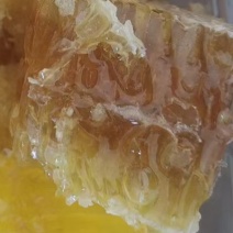 恩施深山土蜂蜜，量小。5斤起售，限售10斤