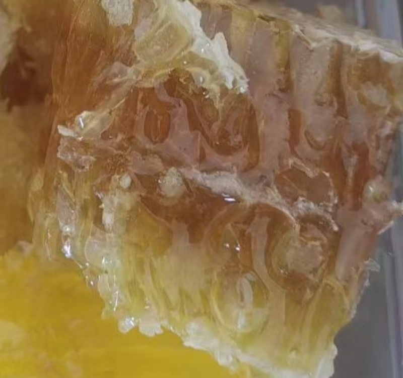 恩施深山土蜂蜜，量小。5斤起售，限售10斤