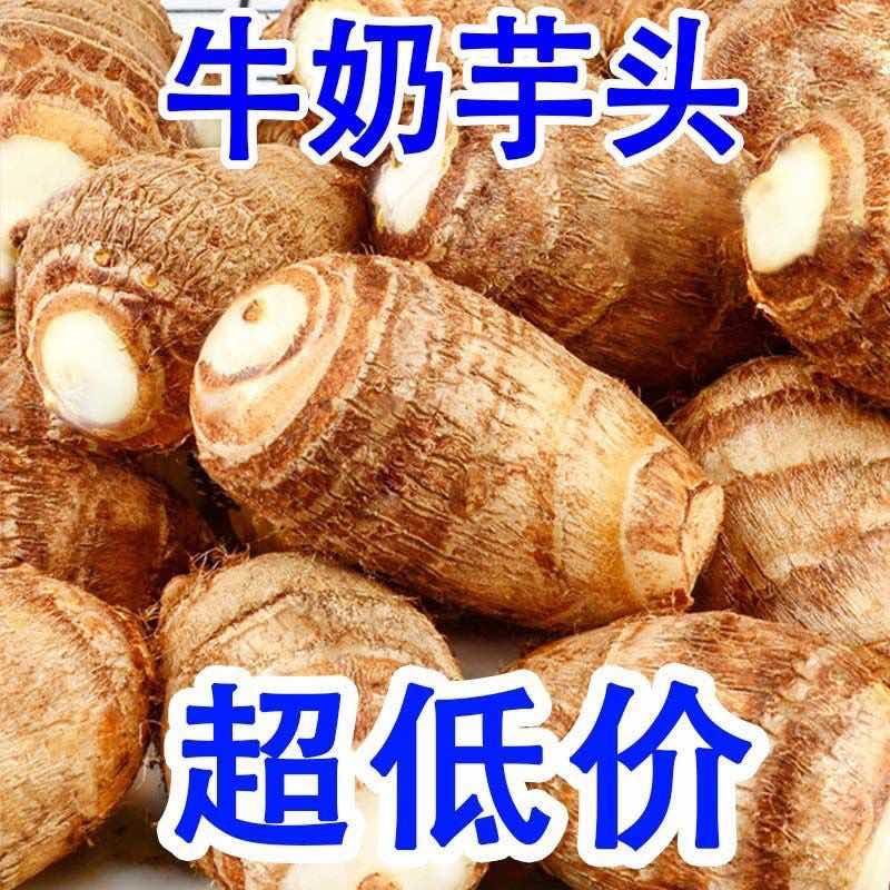 现挖新鲜奶香芋头小奶芋奶心富硒牛奶玉头高山当季粉糯