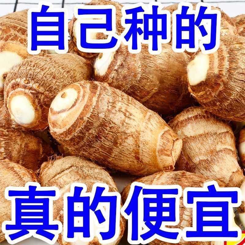 现挖新鲜奶香芋头小奶芋奶心富硒牛奶玉头高山当季粉糯