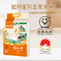 东北五常吉祥如意新米优质一等长粒米煲粥煮饭中国有