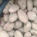 黄心土豆