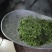 纯手工炒制农家生态普洱生茶（茶树龄60）