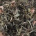 纯手工炒制农家生态普洱生茶（茶树龄60）