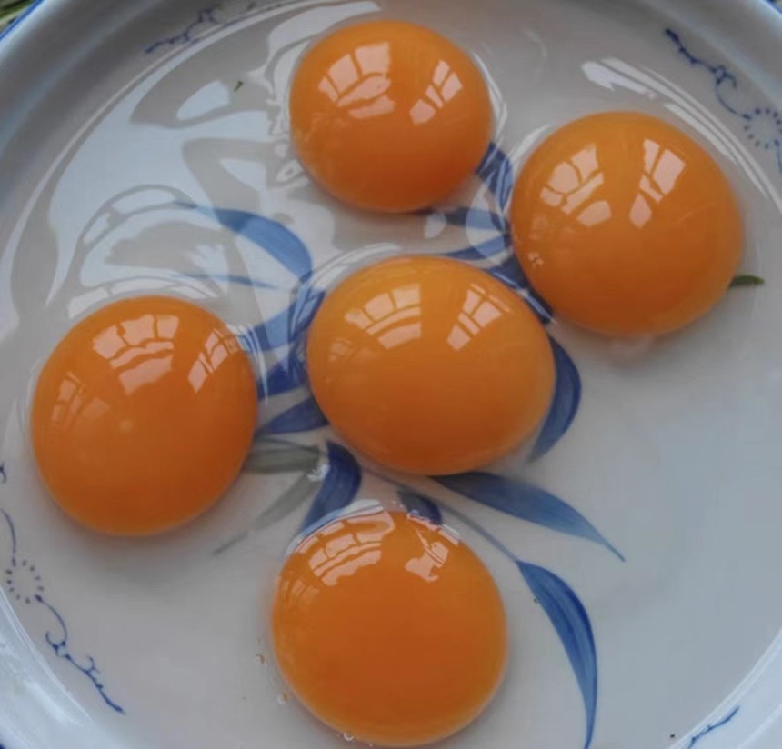 一碗刚冲好的鸡蛋冲水,蛋液呈丝状漂浮于水中,色泽金黄,散发热气 鸡蛋冲水特写