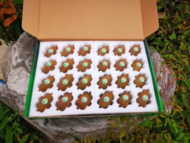 一张展示桌上摆放着多种规格的百泽猕猴桃礼盒,包括纸盒装、木盒装和透明塑料托盘装,旁边配有二维码溯源标签、品牌LOGO卡片,背景中有快递打包场景和电商平台界面截图,体现从生产到销售的完整链条 百泽猕猴桃包装与销售渠道展示