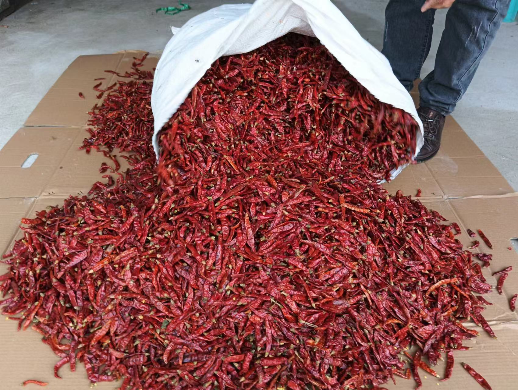 正在搅拌辣椒、蒜末和姜末的搅拌机特写 鲜辣椒酱的制作过程