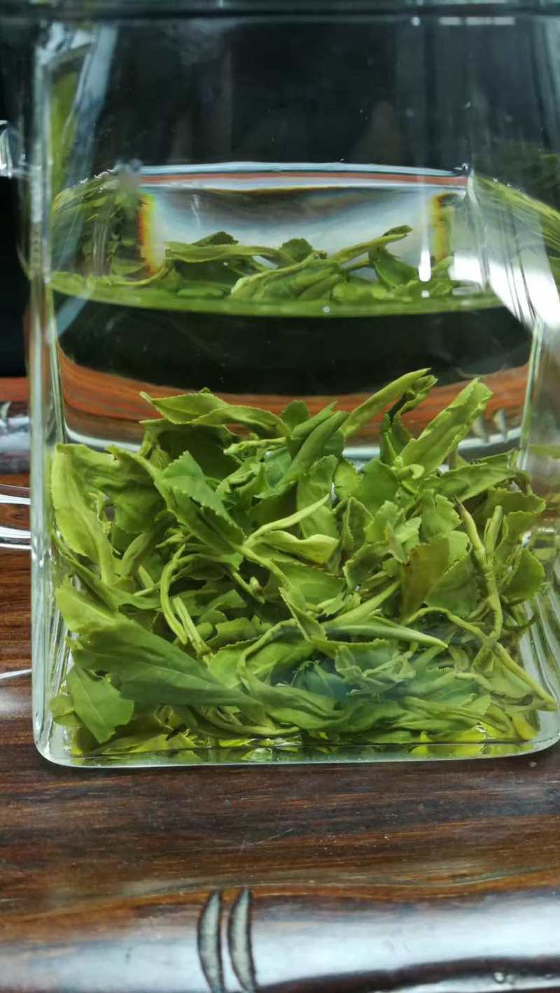 日照绿茶云雾绿茶