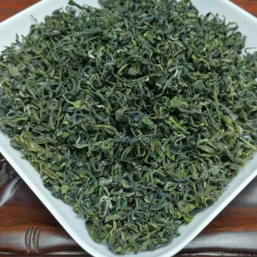 日照绿茶云雾绿茶
