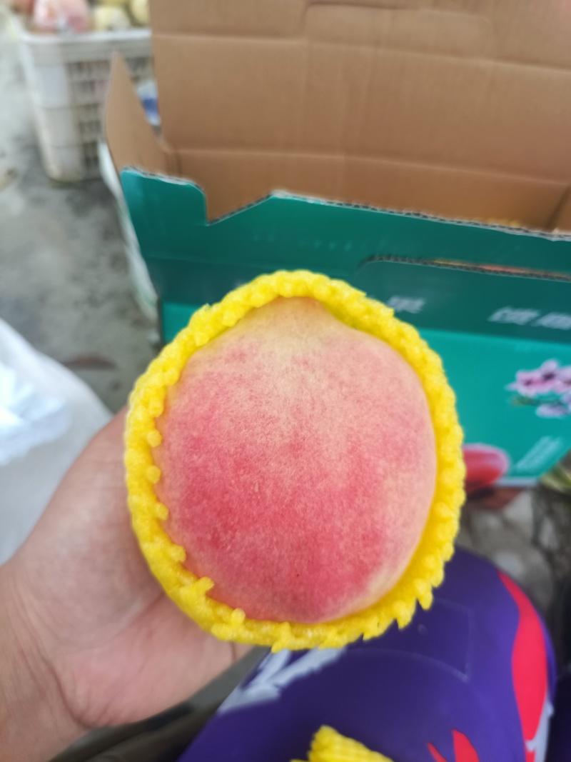 中华寿桃半斤以上