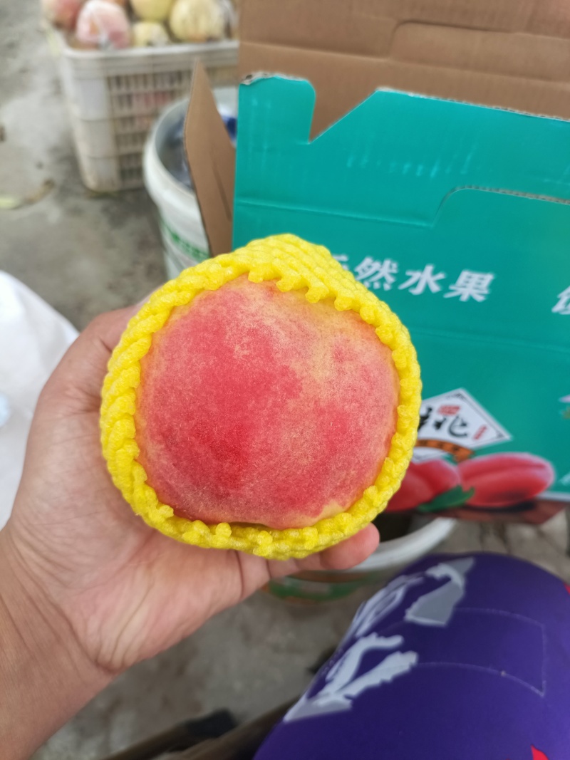 中华寿桃半斤以上