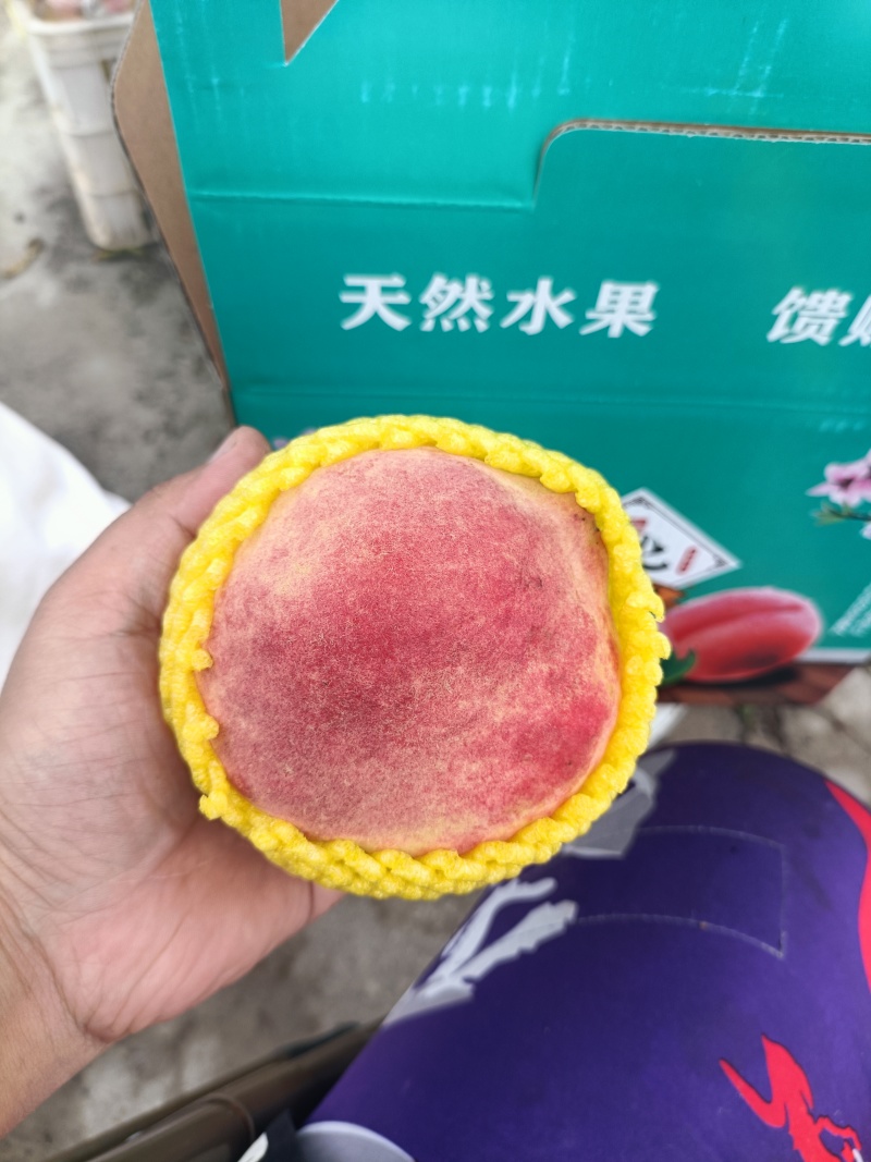中华寿桃半斤以上
