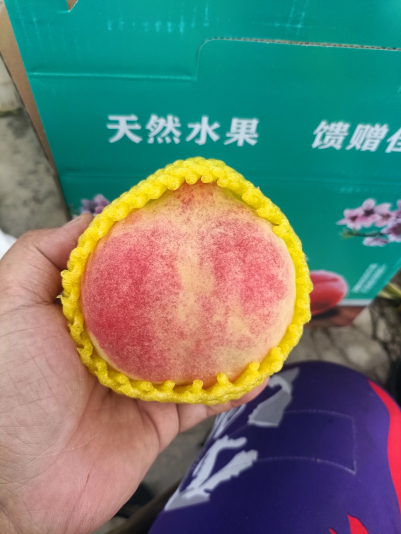 中华寿桃半斤以上