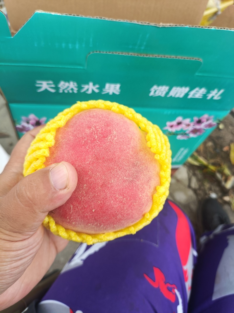 中华寿桃半斤以上