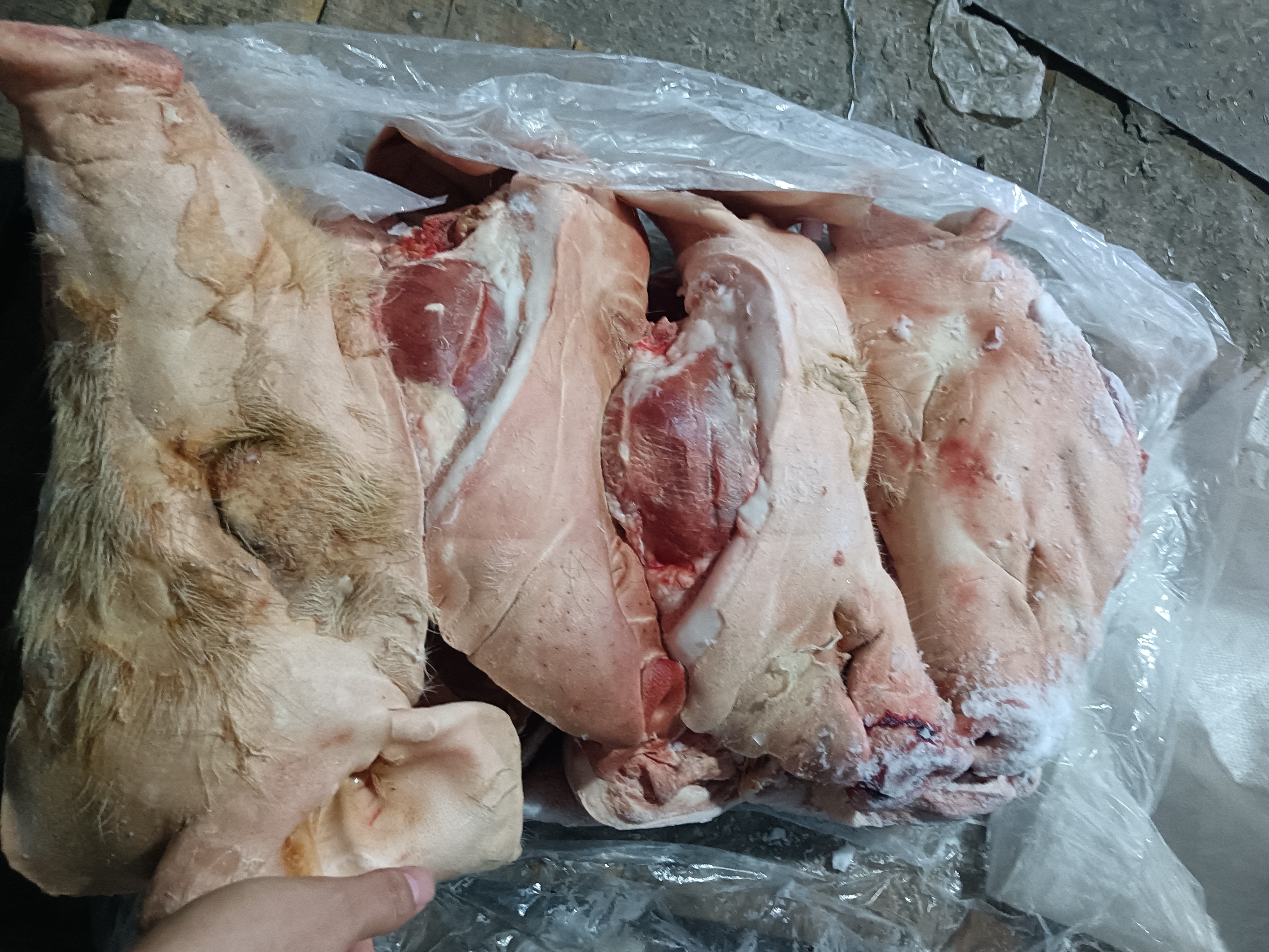 热气腾腾的猪肉大葱水饺 水饺成品图