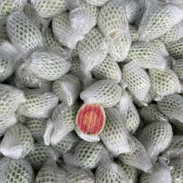 精品红心番石榴，需要请联系