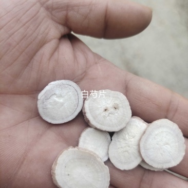 白芍片