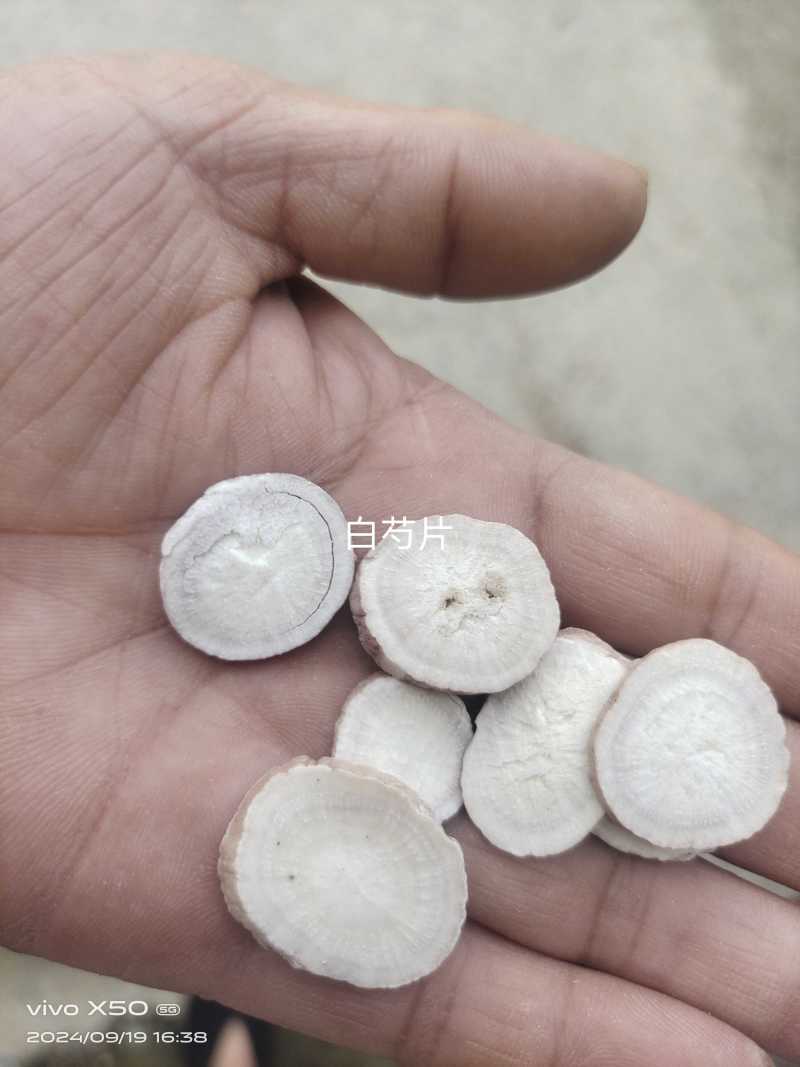 白芍片