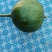 瓜蒌