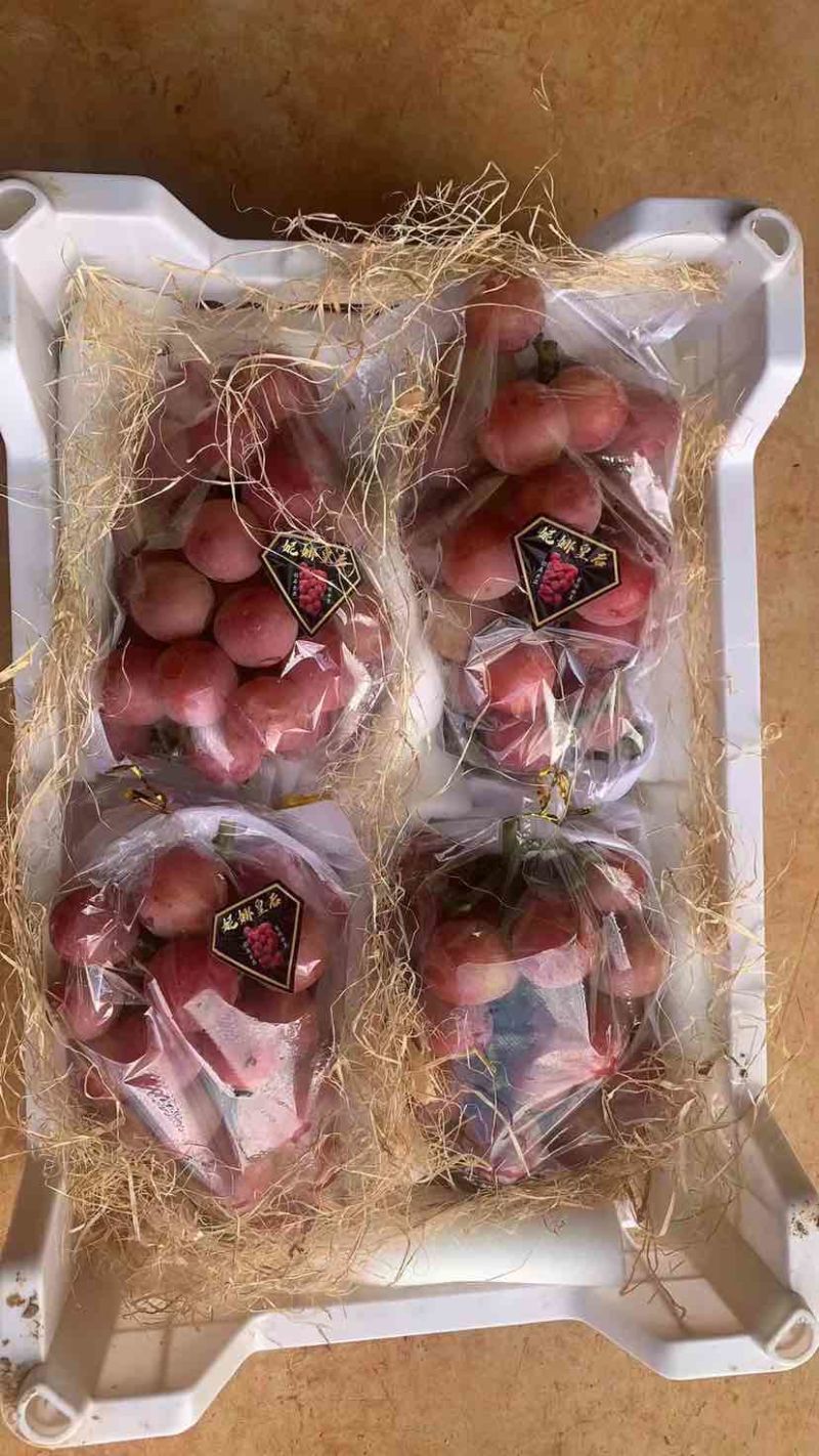 尼娜皇后