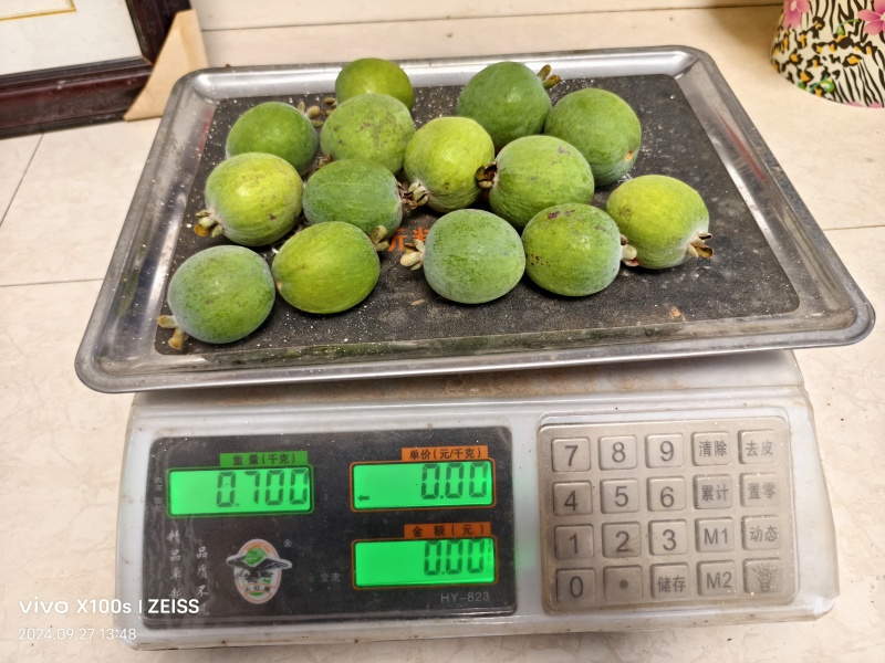 菲油果鲜果