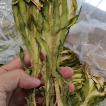 剑花