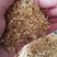 玉米大白皮养殖饲料原料添加大白皮玉米皮