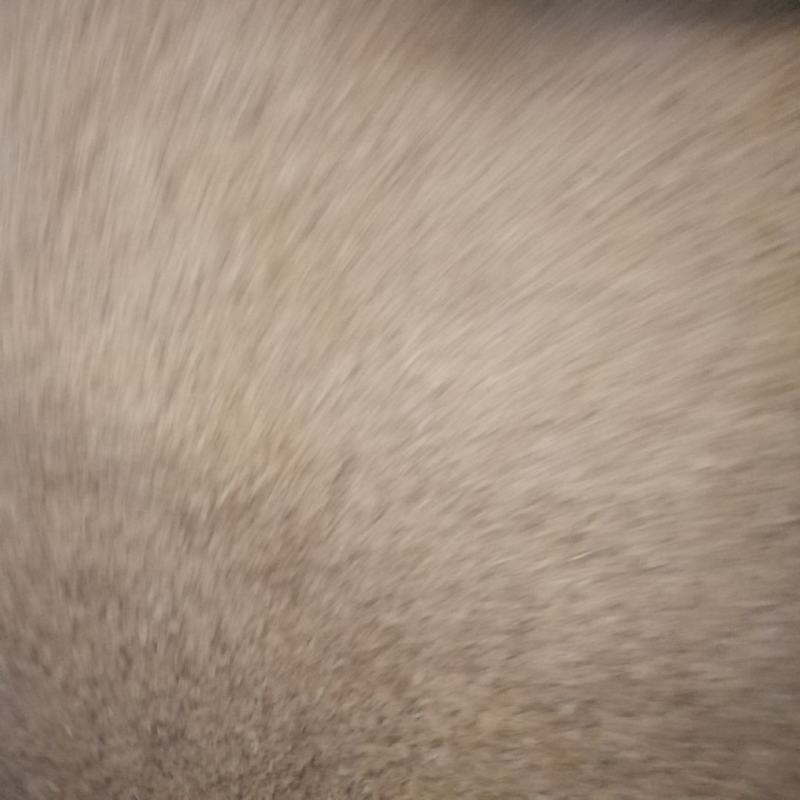 稻壳粉20目40目60目80目100目厂家直销