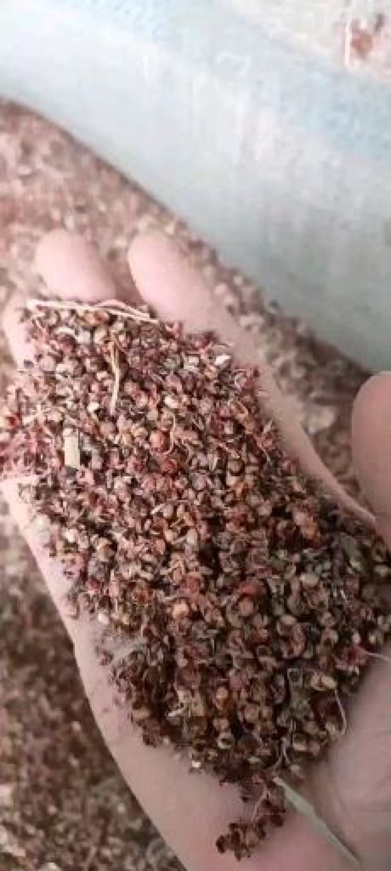 高粱壳高粱糠养殖用做醋做酒用香包用