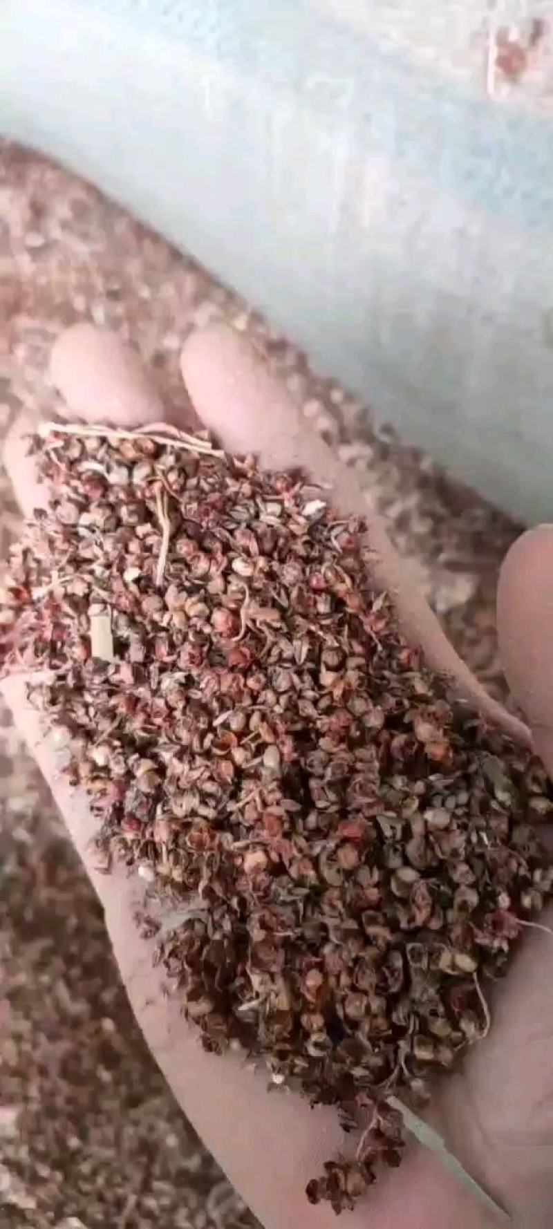 高粱壳高粱糠养殖用做醋做酒用香包用
