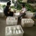 精品娃娃菜，大娃娃菜，小娃娃菜，无虫咬，无斑点，无烧心，