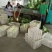 精品娃娃菜，大娃娃菜，小娃娃菜，无虫咬，无斑点，无烧心，