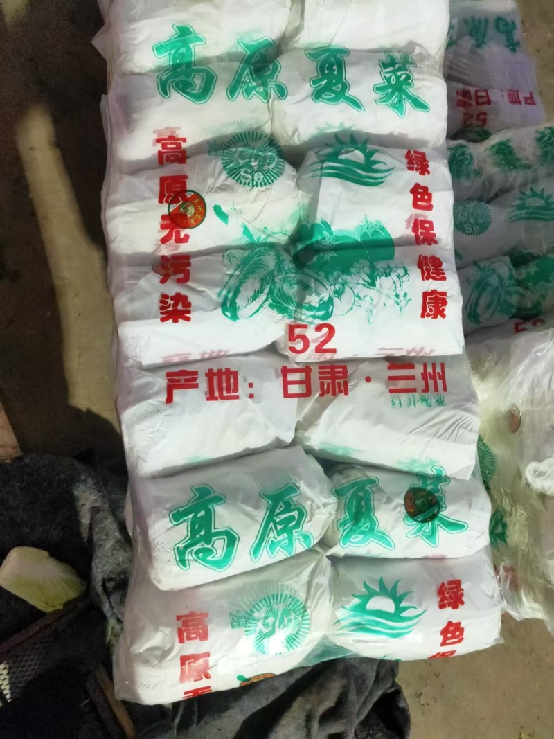 精品娃娃菜，大娃娃菜，小娃娃菜，无虫咬，无斑点，无烧心，