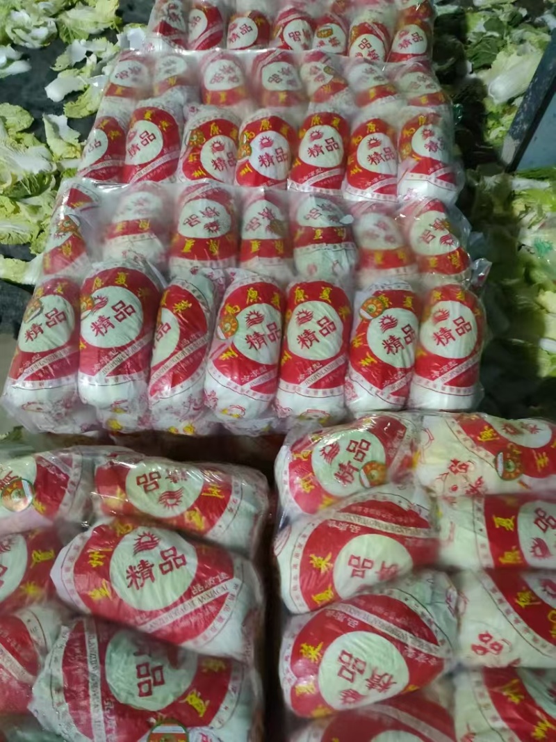 精品娃娃菜，大娃娃菜，小娃娃菜，无虫咬，无斑点，无烧心，