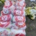 精品娃娃菜，大娃娃菜，小娃娃菜，无虫咬，无斑点，无烧心，