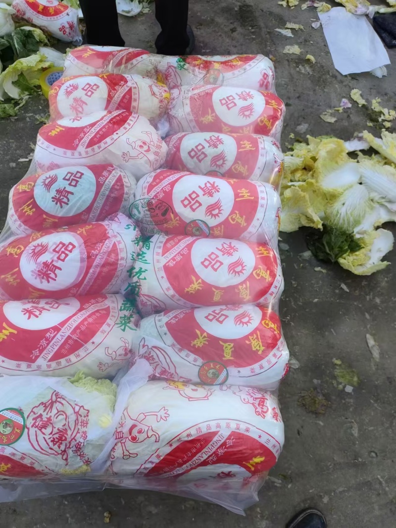 精品娃娃菜，大娃娃菜，小娃娃菜，无虫咬，无斑点，无烧心，